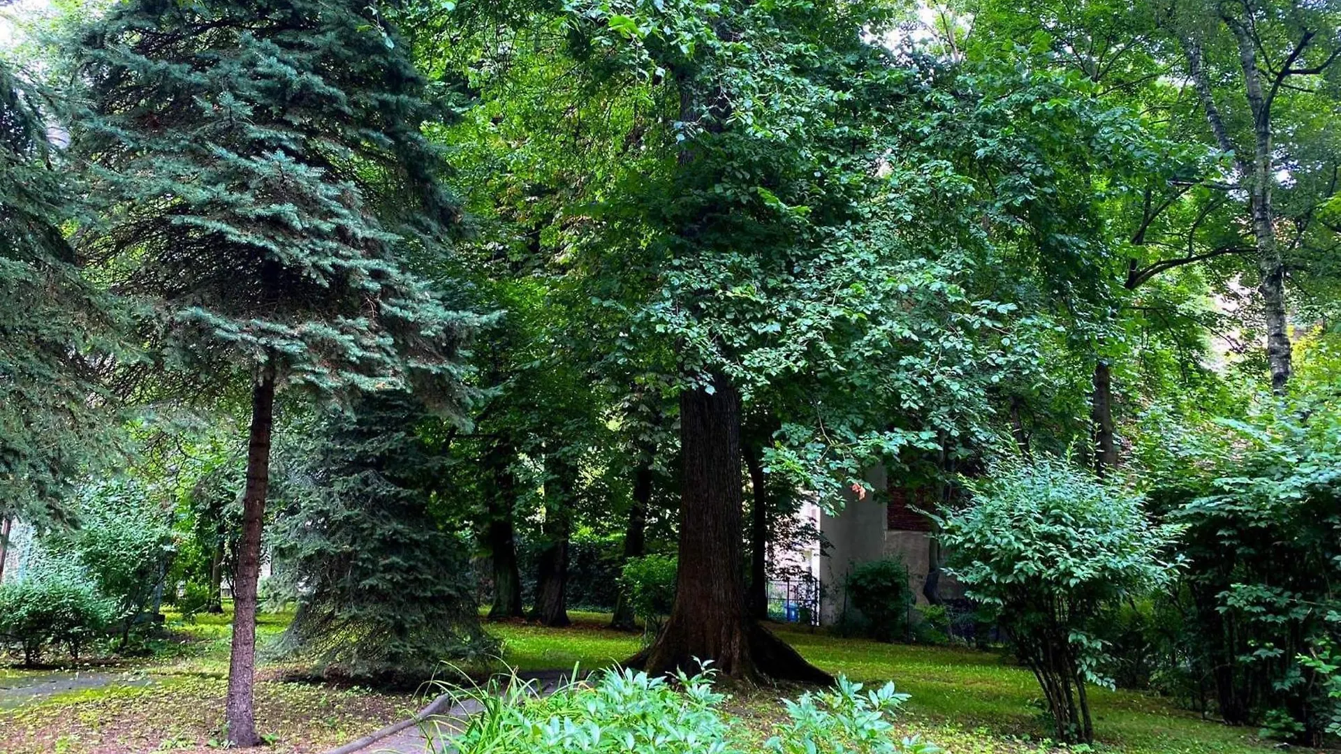 Comfortable Apartment In Old Town Krakow Poland